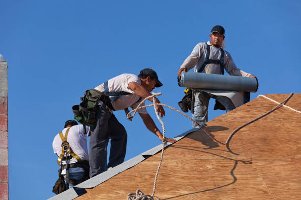 Best Roof Repair Services  in Belpre, OH